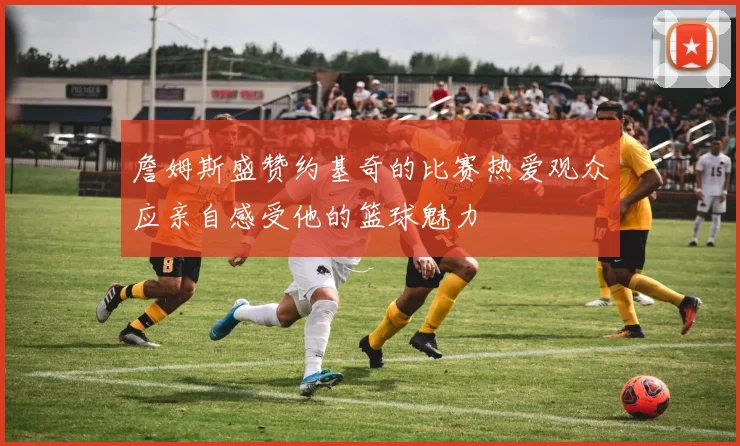 詹姆斯盛赞约基奇的比赛热爱观众应亲自感受他的篮球魅力