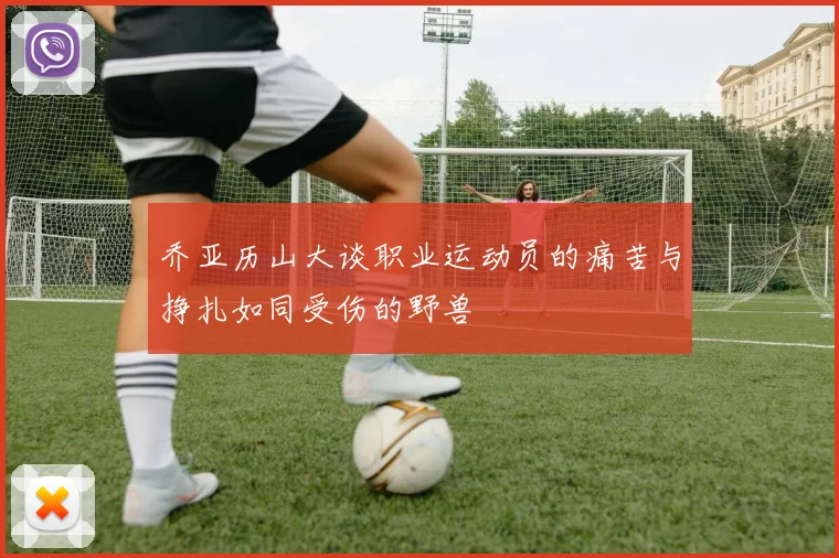 乔亚历山大谈职业运动员的痛苦与挣扎如同受伤的野兽
