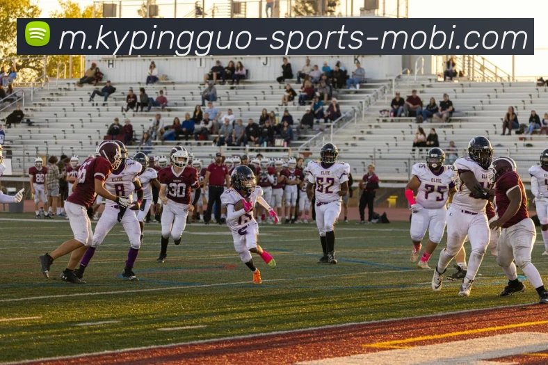 开元棋牌平台生态图